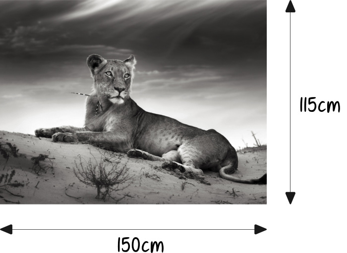 Löwe Löwin Afrika Panther Motorhaube Auto-Aufkleber Steinschlag-Schutz-Folie  Airbrush Tuning – Medianlux-Shop
