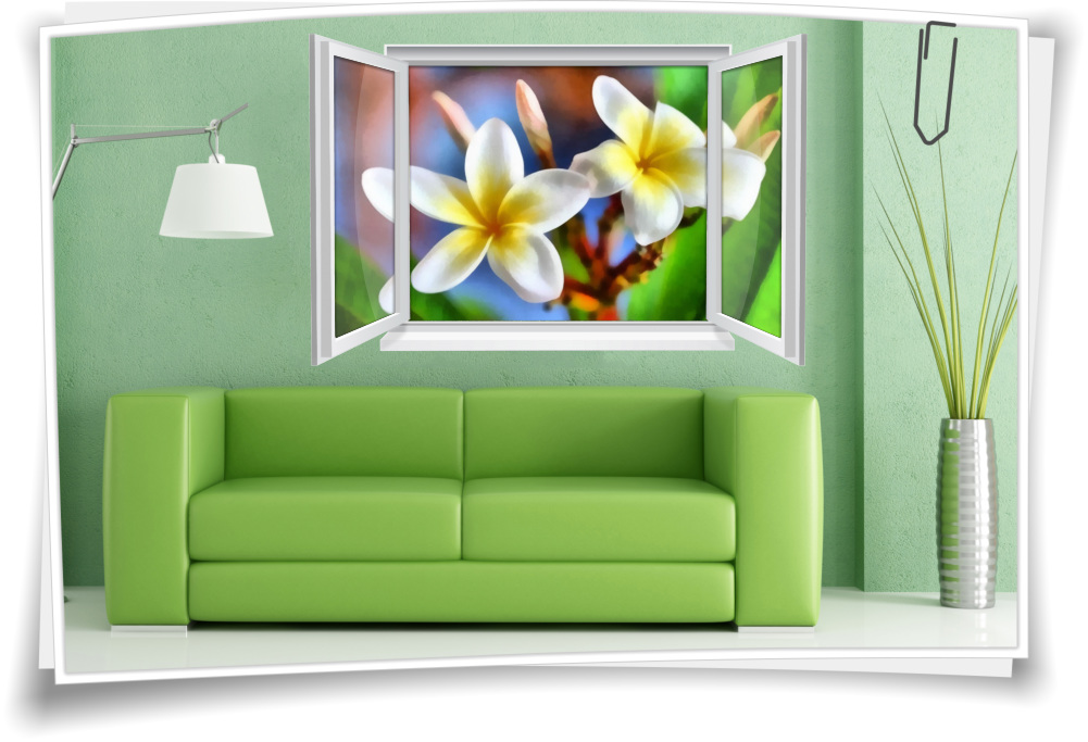 Wandtattoo Wandbild Fenster Plumeria Blüte Wohnzimmer Deko