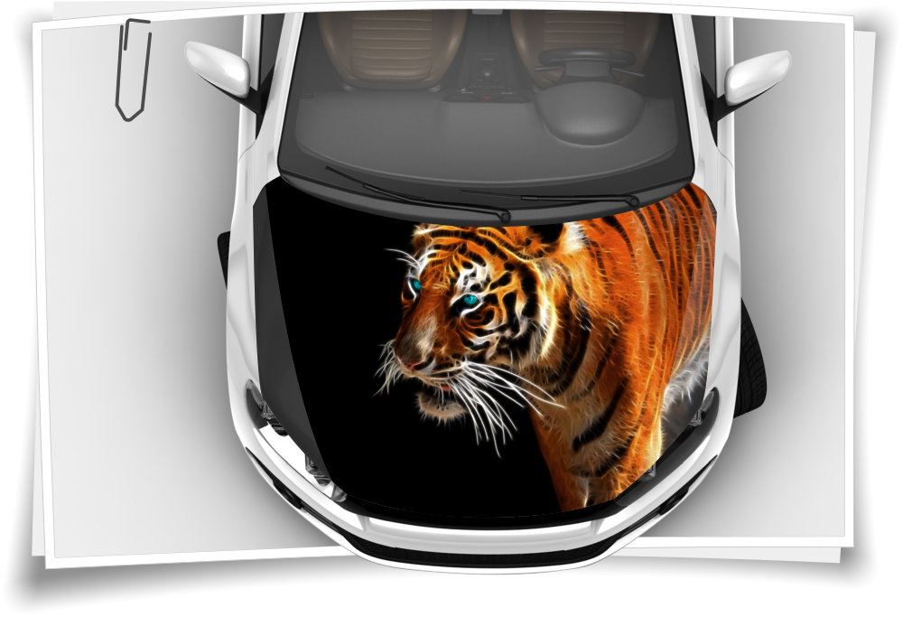 Tiger Abstract Animal Motorhaube Auto-Aufkleber Steinschlag-Schutz-Folie  Airbrush Tuning – Medianlux-Shop