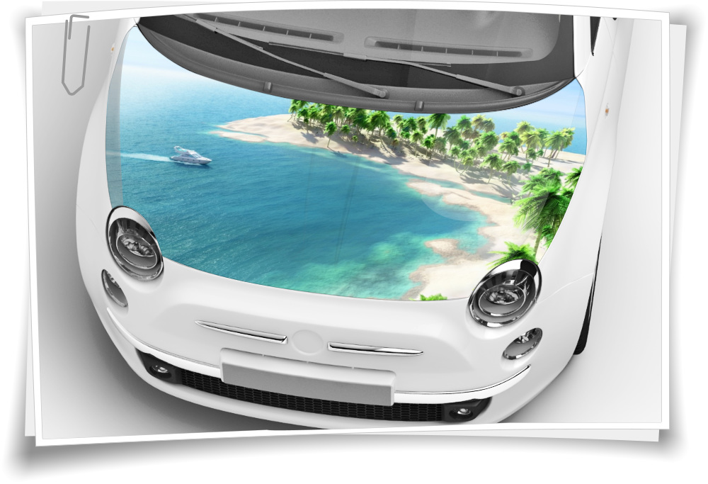 Meer Insel Palmen Motorhaube Auto-Aufkleber Steinschlag-Schutz