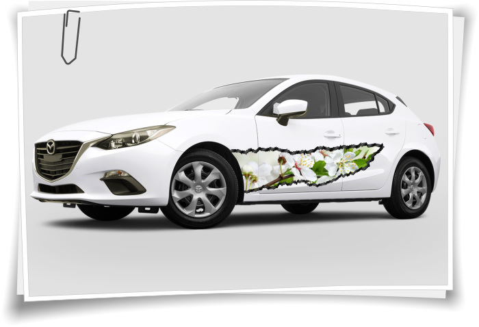 Auto-Aufkleber Seitenstreifen Blumen Blüten Weiß Grün Frühling Airbrush  Folie Tuning – Medianlux-Shop
