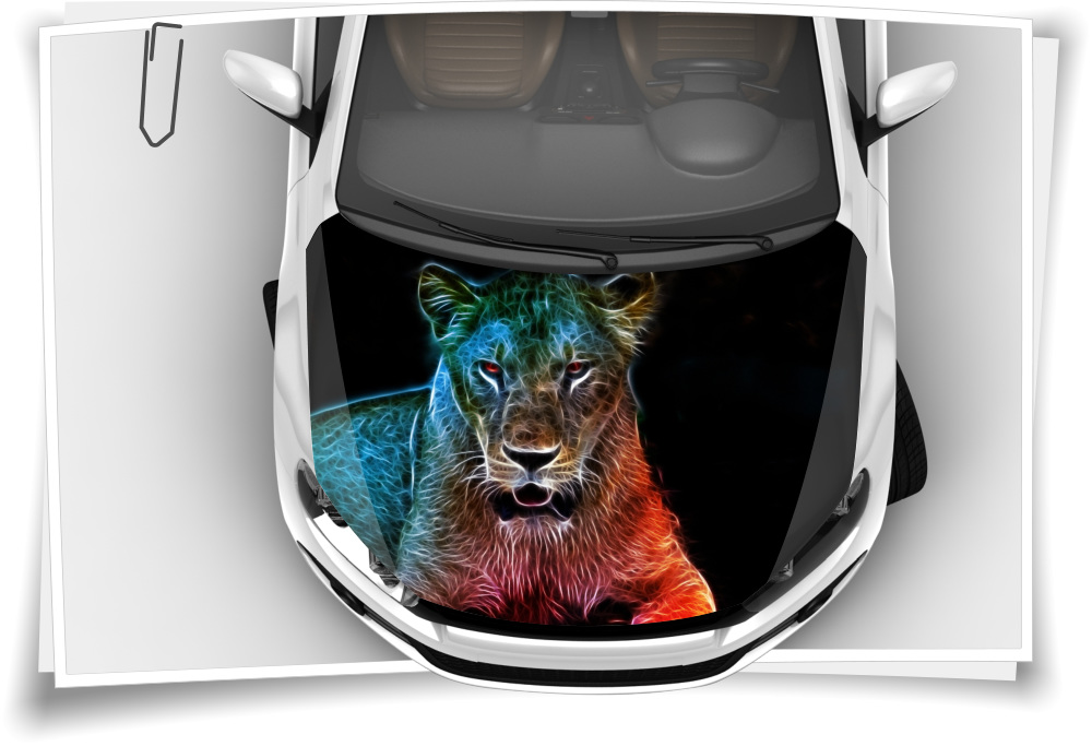 Motorhaube Auto-Aufkleber Löwe Löwin Fantasie Lion Wildnis Tiere