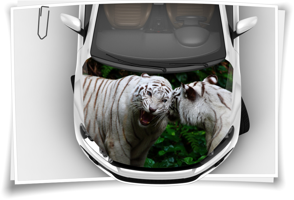 Motorhaube Auto-Aufkleber Tiger Weiß Wildnis Gefahr Tiere Wald Steinschlag- Schutz-Folie Airbrush Tuning – Medianlux-Shop